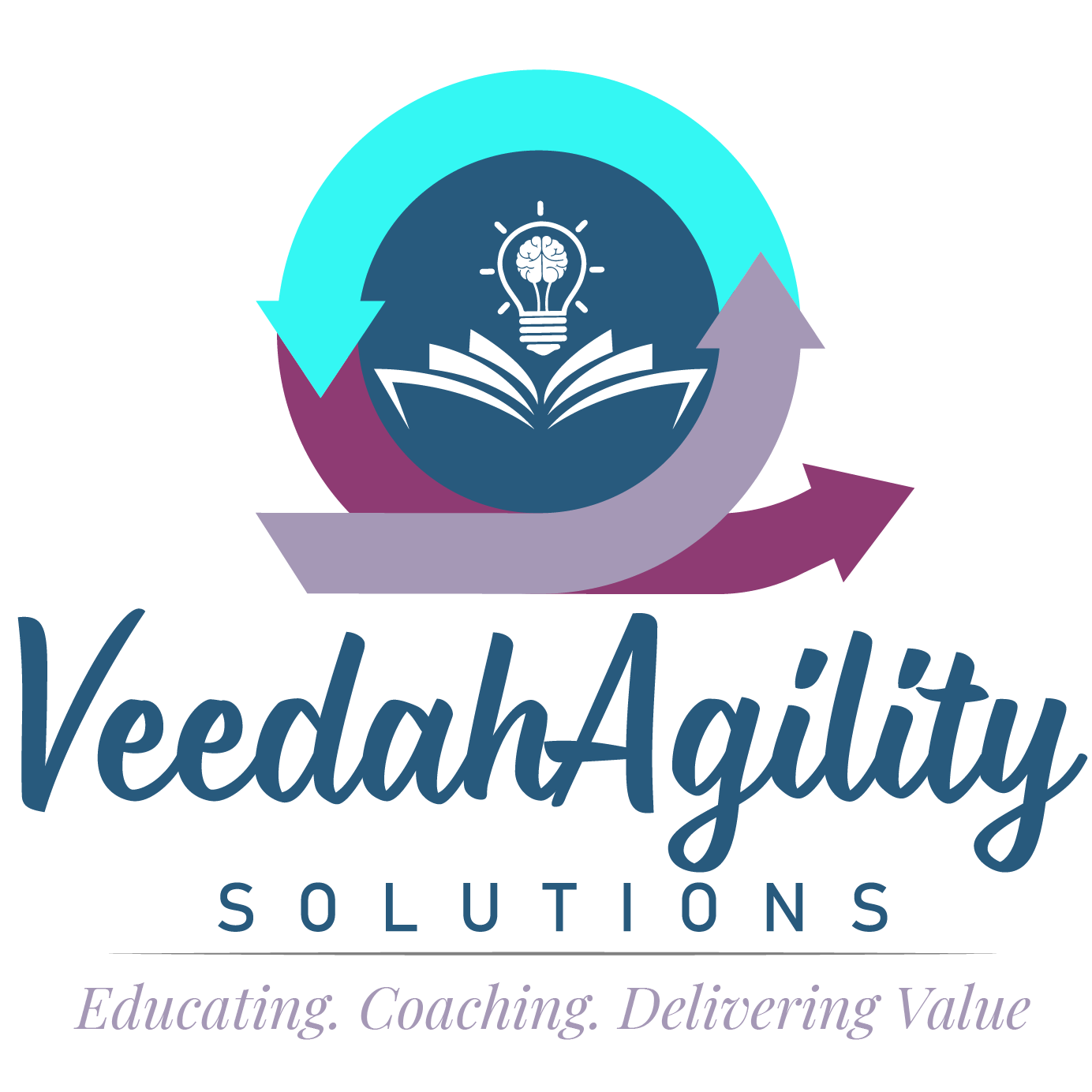VeedahAgility Solutions